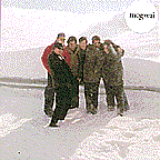 mogwai_fuck_the_curfew.gif (9659 bytes)